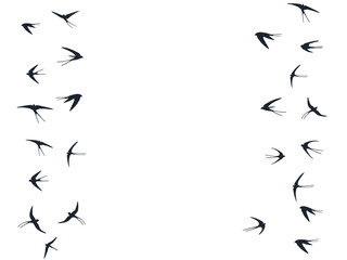 Flying swallow birds silhouettes vector illustration. Migratory martlets flock isolated on white. 