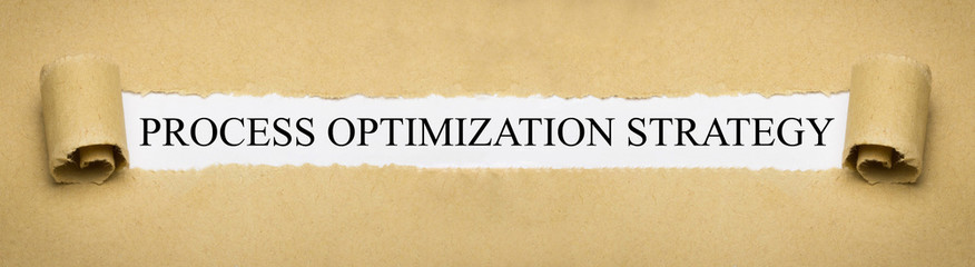 Process Optimization Strategy