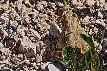 Riserva naturale di Fanes, Alto Adige, Italia