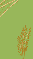 green wheat background
