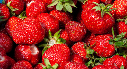 Juicy beautiful red freshly picked strawberries. Healthy and wholesome Food background. Many natural strawberries close-up, top view. Macro shot of strawberry texture in sunny day Banner for web site