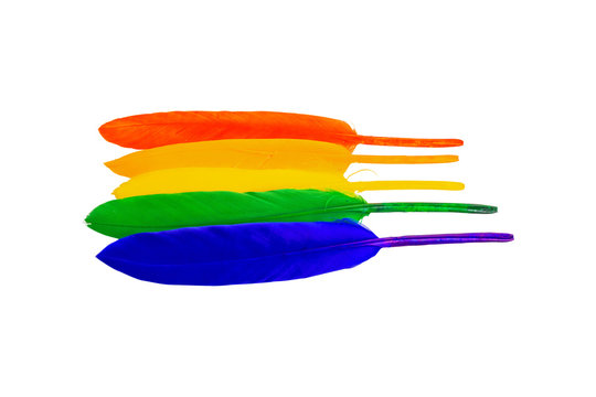 The rainbow flag of the LGBT community of bird feathers isolated on a white background. High quality photo