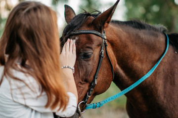 A little girl strokes a horse her favorite horse on the head. Communication of a child with a horse in the summer.