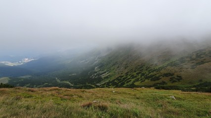 fog in the mountains