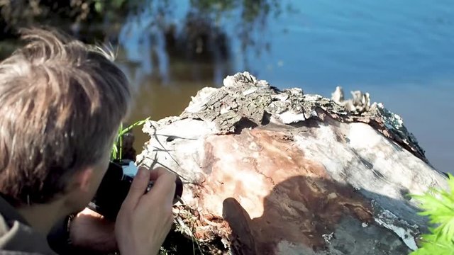 a man takes a picture of a stump with ants by the river, back view