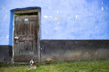 Old wooden door on a house in Viscri village from Transylvania, Romania.