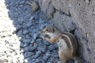 Fuerteventura Espagne Spain
