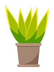 Cactus with bright green leaves in brown ceramic pot. Aloe room plant icon. Succulent plant for home decor. Decorative home cartoon vector. Green random plant in brown pot vector graphic illustration