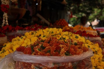 indian spices market