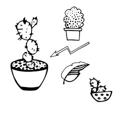 
Set of black and white images of cacti in a pot. Arrow logo.