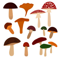 Set of 14 vector mushrooms isolated on white background. Amanita, russula, chanterelle, boletus, orange-cap boletus, agaric. Autumn fall elements.