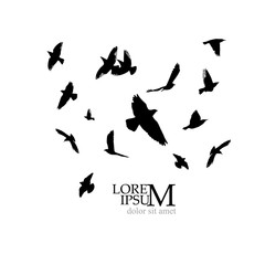Fototapeta na wymiar A flock of flying birds silhouette. Vector illustration