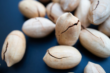 pecan nuts on a dark blue background