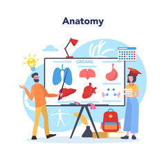 Anatomy school subject. Internal human organ studying. Anatomy