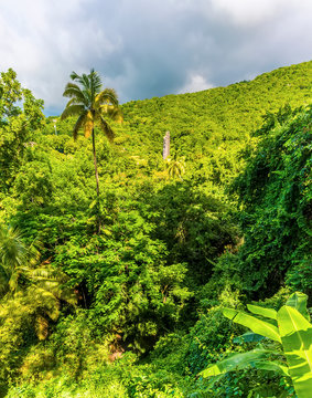 A view across the lush rain forest in St Kitts