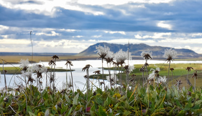 Mountain in the distance
