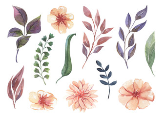 Watercolor floral illustration -  flowers collection, green leaves for wedding stationary, greetings, wallpapers, fashion, backgrounds.
