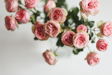 Flowers composition with pink roses on white background. Flat lay, top view festive holiday celebration hero header