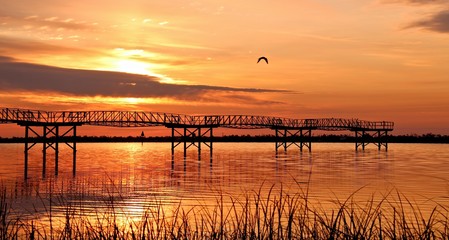 Fototapeta na wymiar Golden Sunrise Pier with Bird Flying