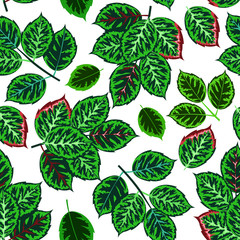 Seamless pattern with rose buds and leaves. Graphic llustration on white background. For the design of shawl, handkerchief, weddings, dress, fabrics, wallpaper, pattern, digital paper, costume, dress