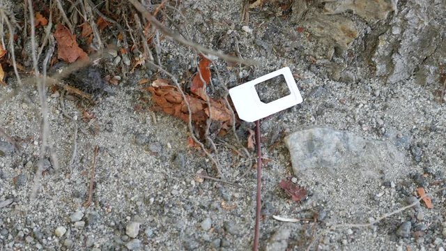 A used white sim card is lying on the asphalt in the city. Plastic shell from the nano sim card of the phone. Adapter between mini, micro and nano subscriber identification module. Trashed