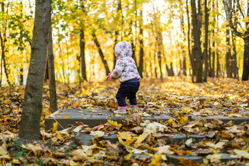 One little girl in park. Sunny autumn day in a city park in Minsk, Belarus. Walking with kid. Fallen leaves. Orange and yellow calm mood.