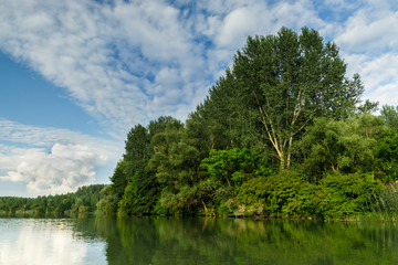 Fototapeta na wymiar Shore with green trees in wetlands of Danube river, Slovakia