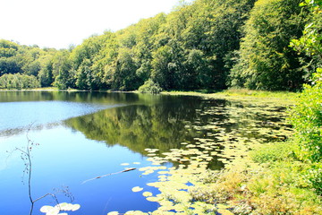 Blick auf den schwarzer See bei Sellin auf der Ostseeinsel Rügen