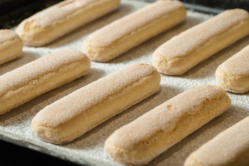 Fototapeta na wymiar Ladies fingers cookies on a baking sheet with powdered sugar, savoiardi.