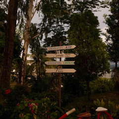 Street sign in the park