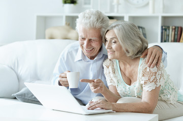 Happy senior couple with laptop at home