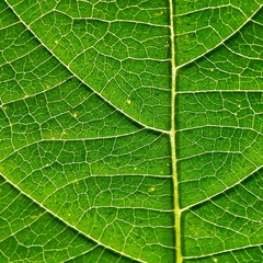 green leaf texture