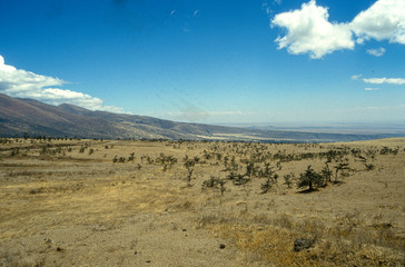 Cratère du Ngorongoro, Parc national, Tanzanie