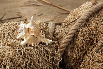 The shell is entangled in a fishing net on the seashore
