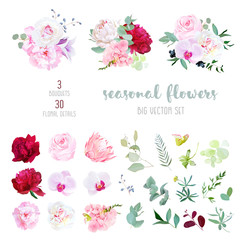 Pink rose, white and burgundy red peony, protea, violet orchid, hydrangea, campanula flowers and mix of seasonal plants and herbs big vector collection