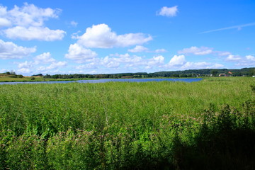 Blick auf den Selliner See auf der Ostseeinsel Rügen