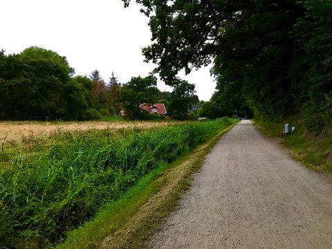 Schaarweg / Feldweg / Weg zwischen Pelzerhaken und Rettin (Schleswig-Holstein)