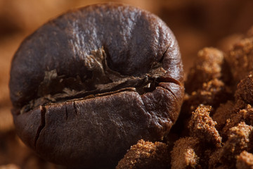 coffee beans macro
