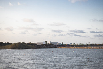 flamingos in salt flats of San Pedro del Pinatar with factory, Murcia, Spain