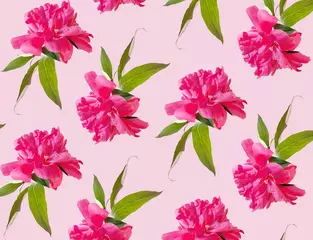 Fototapete Tropische Pflanzen Pfingstrosenmuster mit grünen Blättern auf rosa Pastellhintergrund. Blumentapete. Foto in hoher Qualität