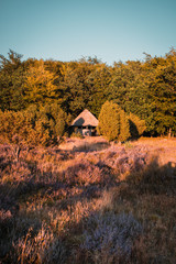 A wooden hut in the nature with sunset light. A perfect place to realx and enjoy the nature with heath landscape. Lüneburger Heide, Lüneburg Heath in Lower Saxony, Germany