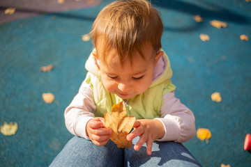 cute one-year toddler girl playing with a yellow do leaf at mom's knees in autumn park on a sunny day.