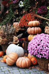 Pumpkins. decor for the halloween, thanksgiving, autumn season 