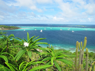 Lagune des îles grenadines dans la mer d'eaux turquoises des caraïbes  parsemées de bateaux et...