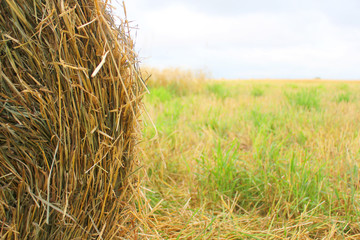 Close-up of a haystack against a field and sky. Village background. Round haystack. Close-up photos, selective focus.