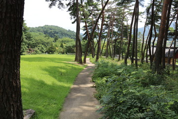 Obraz premium path in the park