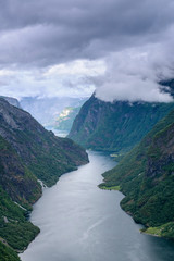 Fototapeta na wymiar View high on top of beautiful Norwegian fjord, the Sognefjord.