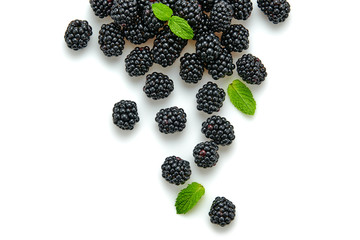 Blackberry isolated on white. Fresh bilberry closeup, healthy diet concept. Ripe organic...