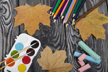 Colored pencils, crayons and watercolors. Nearby are dried maple leaves. Academic year during the epidemic.