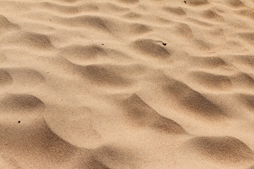 sand close up view, natural abstracted background
